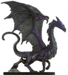 Adult Purple Dragon.jpg